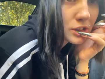 Cam stars couple sasha0vay image #12857