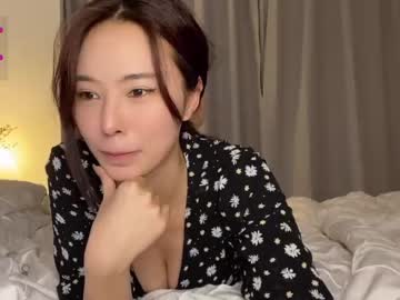 Cam stars girl burmilla1 image #2018326