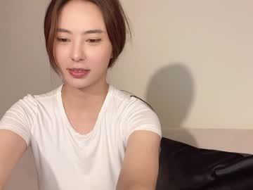 Cam stars girl burmilla1 image #2388720