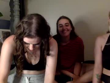 Cam stars girl basicbrunette image #4729717