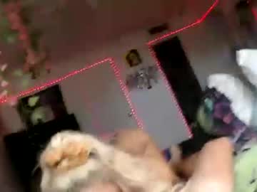 Cam stars tranny cozygemini image #1926139
