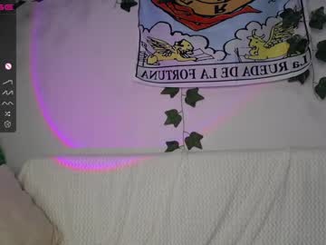 Cam stars girl shycinderella image #3768547