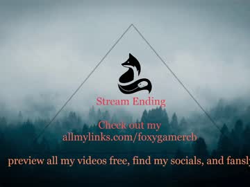 Cam stars girl foxy_gamer image #4724280