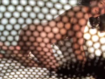 Cam stars girl annareyle image #2183959