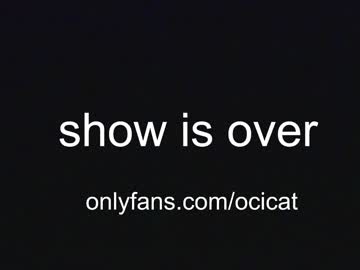 Cam stars girl ocicat image #5059349