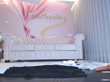 Cam stars girl wildtequilla image #4785180