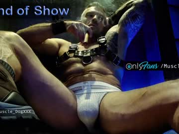 Cam stars man muscle_dog image #1633635