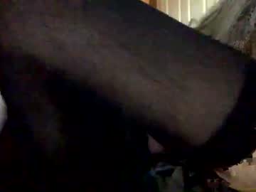 Cam stars couple jamber69 image #903735