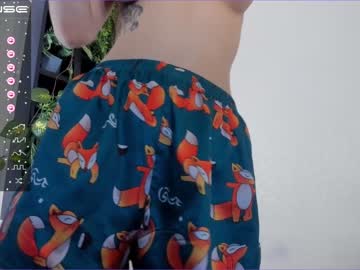 Cam stars girl sofiabruno image #3679548