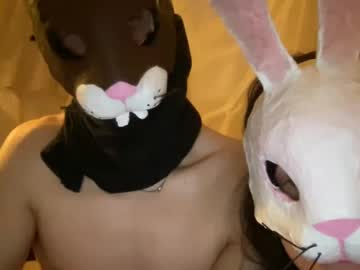 easterhunny cam stars