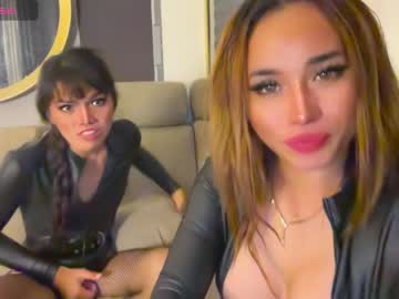 Cam stars tranny pialova image #5968386