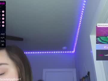 Cam stars girl scarlettpython1 image #4462386