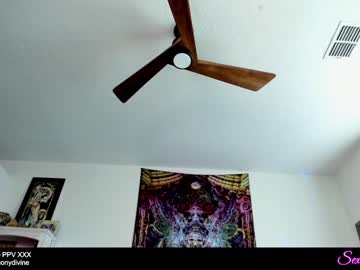 Cam stars girl sexual_essence image #2343274