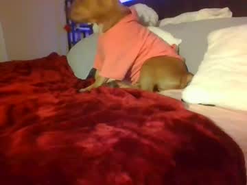Cam stars girl amoneyyyz image #3127578