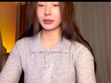Cam stars girl burmilla1 image #3373966