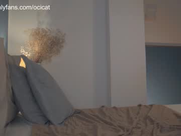 Cam stars girl ocicat image #4514911