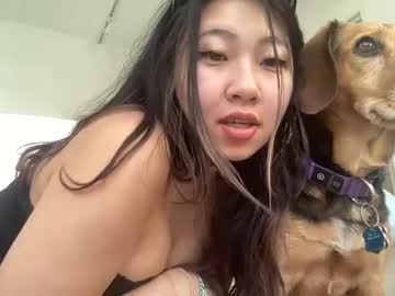 Cam stars girl hiddenr0se image #6804149