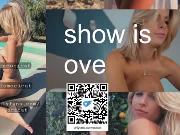 Cam stars girl ocicat image #5468598