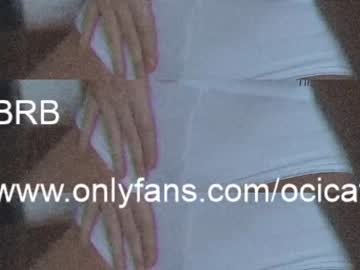 Cam stars girl ocicat image #3256204