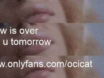 Cam stars girl ocicat image #3599827