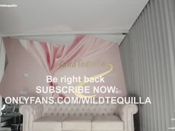 Cam stars girl wildtequilla image #5445105