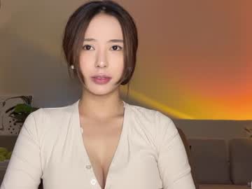 Cam stars girl burmilla1 image #2606596