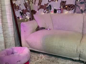 Cam stars girl ari_02 image #6628522