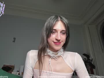 Cam stars tranny nbnabunny image #3906735