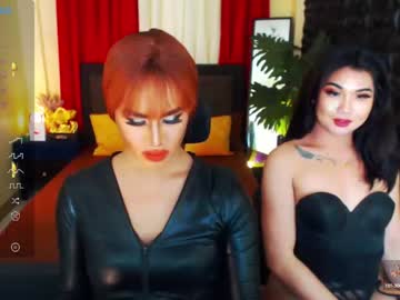 Cam stars tranny tsmajesticzhia image #6292746