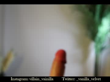 Cam stars girl vanilla_velvet image #4659621