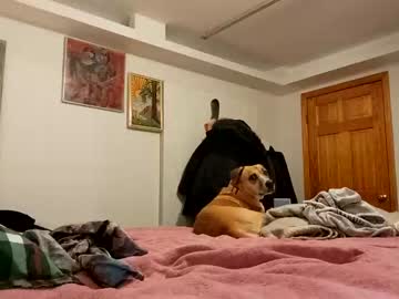 Cam stars girl willameadowsofficial image #3130039