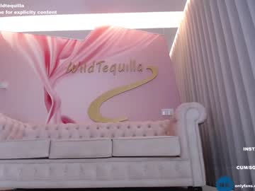 Cam stars girl wildtequilla image #4184508