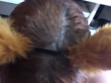 foxyemilly cam stars